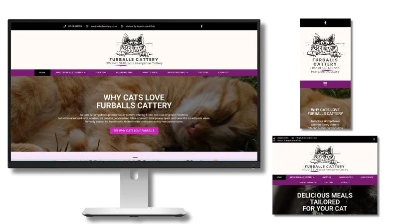 Furballs layout1